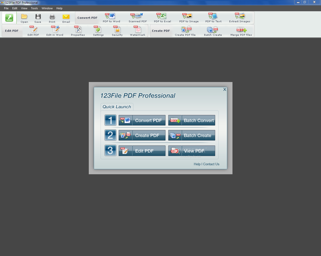 123File PDF Professional