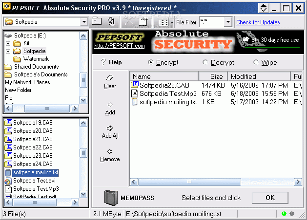 Absolute Security Pro