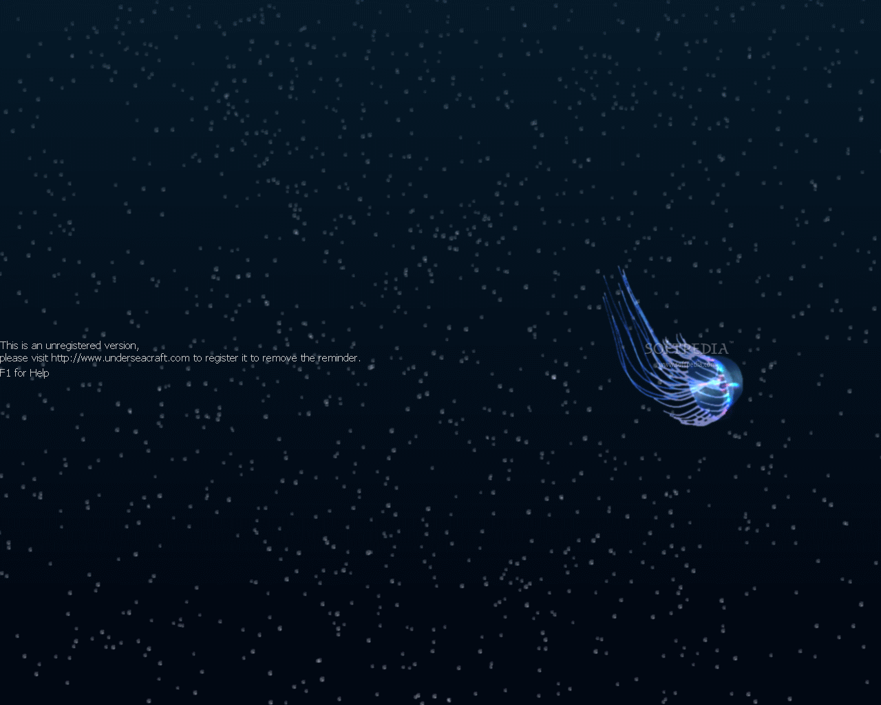 Active Jellyfish Screensaver