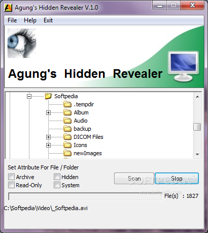 Agung's Hidden Revealer