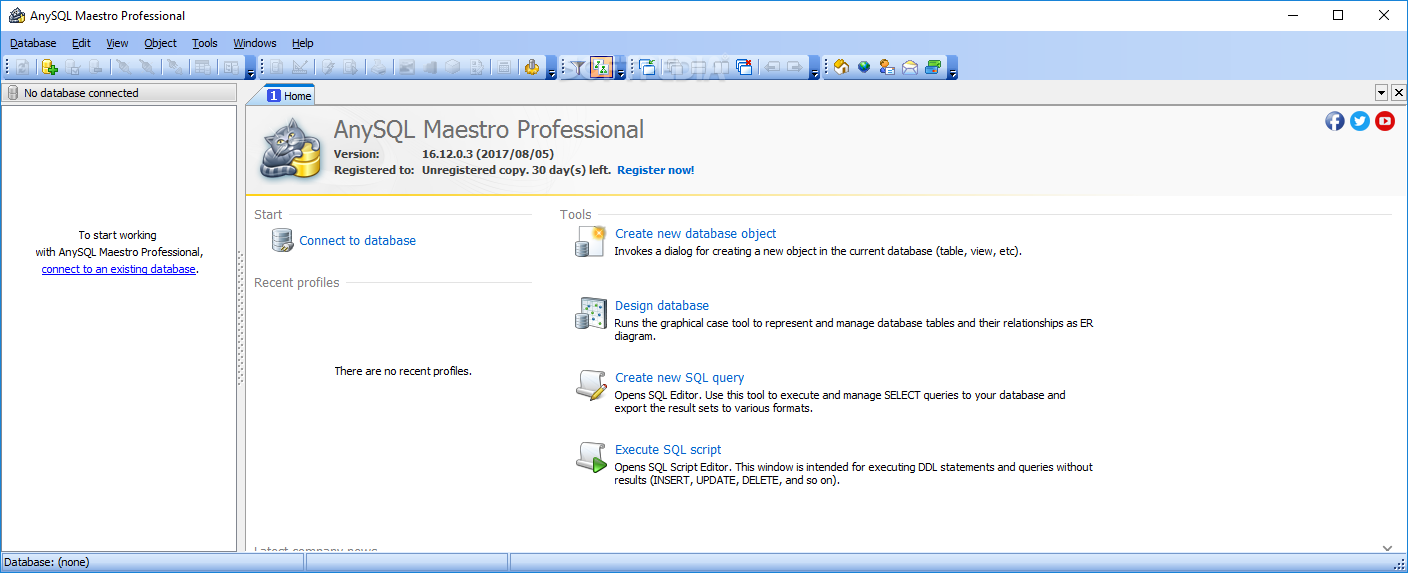 AnySQL Maestro Professional