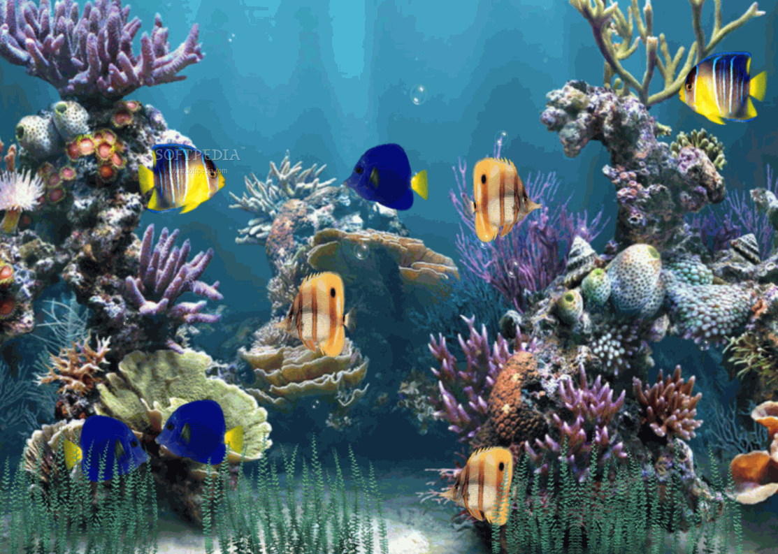 Top 29 Desktop Enhancements Apps Like Aquarium Animated Wallpaper - Best Alternatives