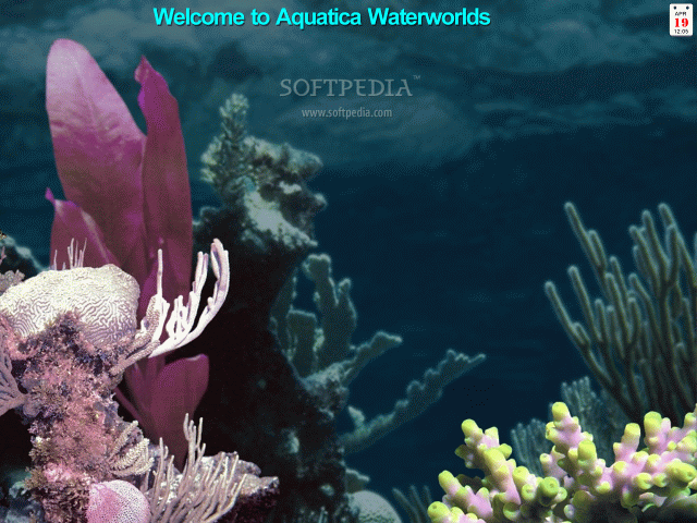 Aquatica Waterworlds Screen Saver