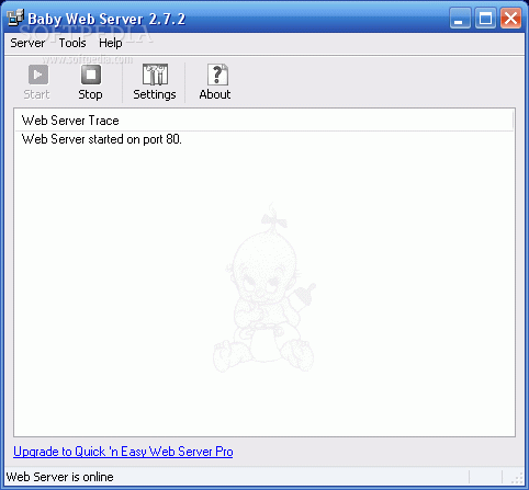 Baby Web Server