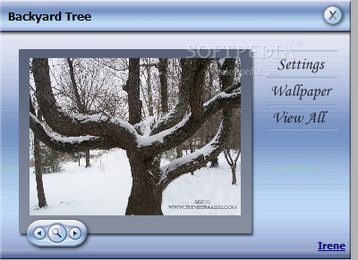 Backyard Winter Screensaver