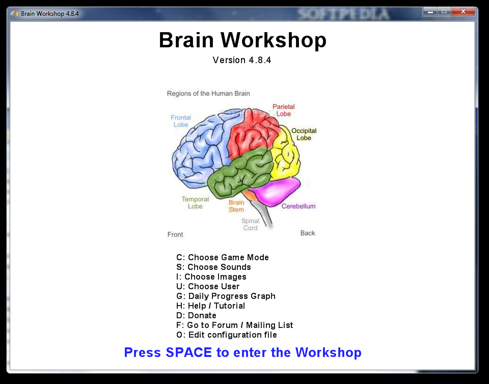 Brain Workshop