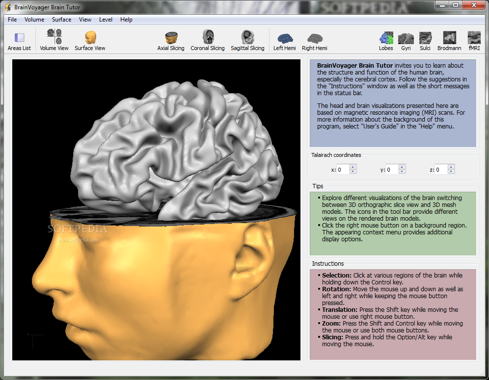 BrainVoyager Brain Tutor