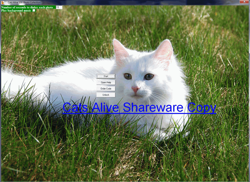 Top 19 Desktop Enhancements Apps Like Cats Alive - Best Alternatives
