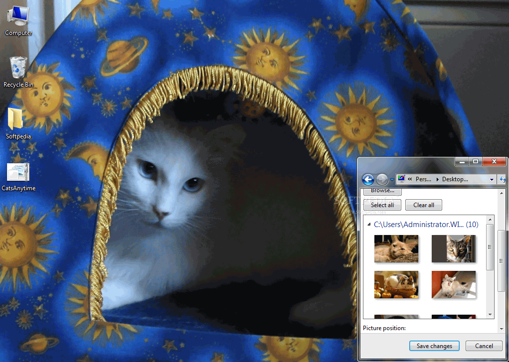 Top 29 Desktop Enhancements Apps Like Cats Anytime Theme - Best Alternatives