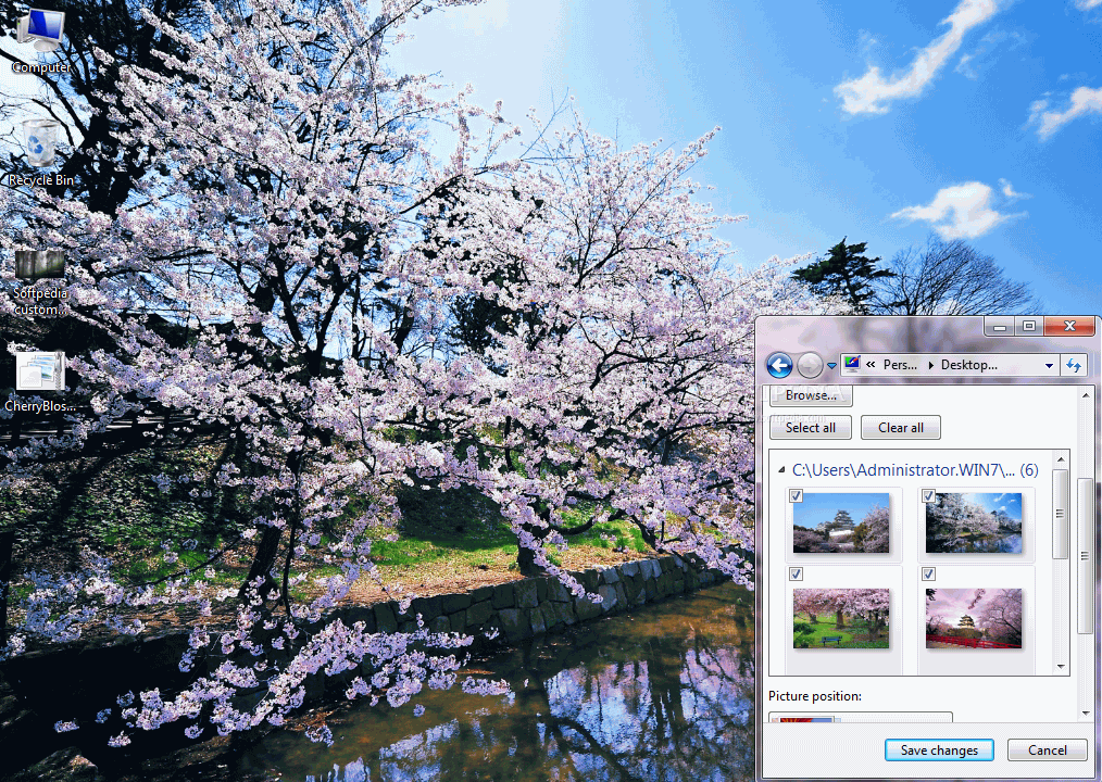 Cherry Blossoms of Japan Theme