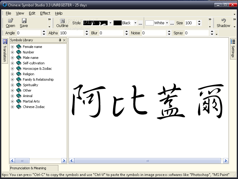 Chinese Symbol Studio