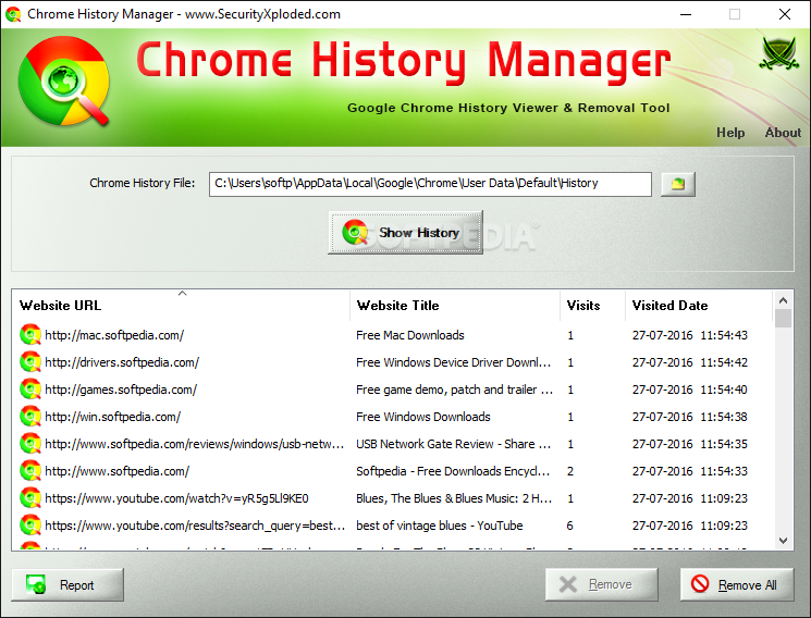 Chrome History Manager