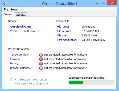 Chrome Privacy Shield