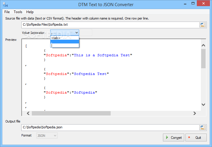 DTM Text to JSON Converter