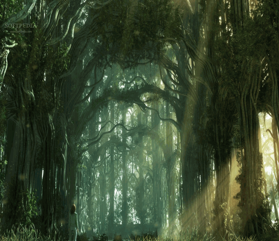 Dark Forest Animated Wallpaper