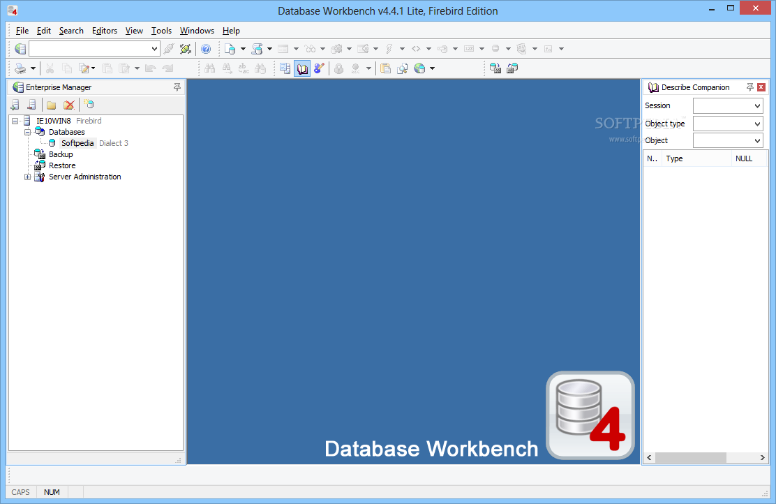 Database Workbench Lite for Firebird