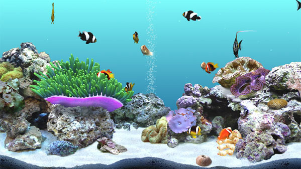 DigiFish Clownfish