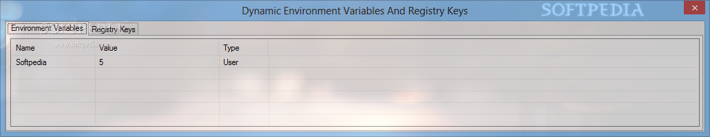 Dynamic Environment Variables And Registry Keys