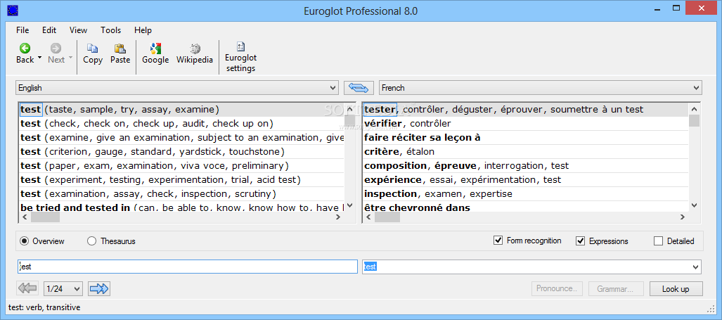 Euroglot Professional