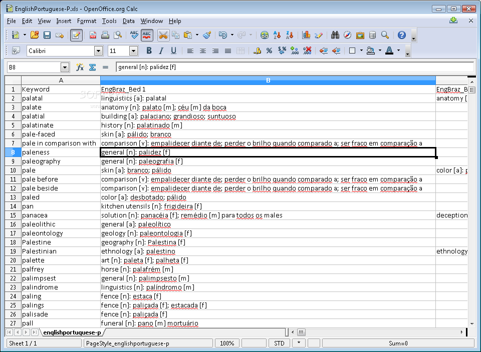 Excel Dictionary English Portuguese