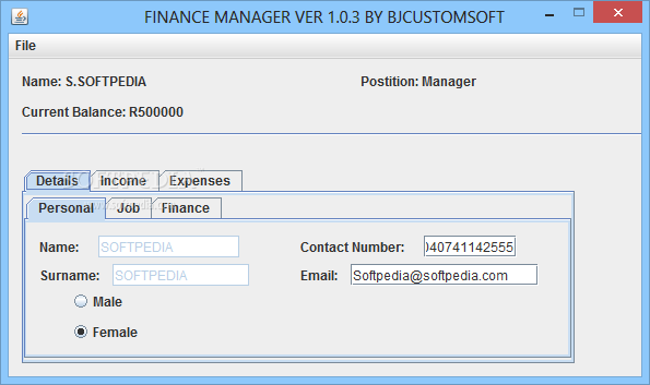 FINANCE MANAGER