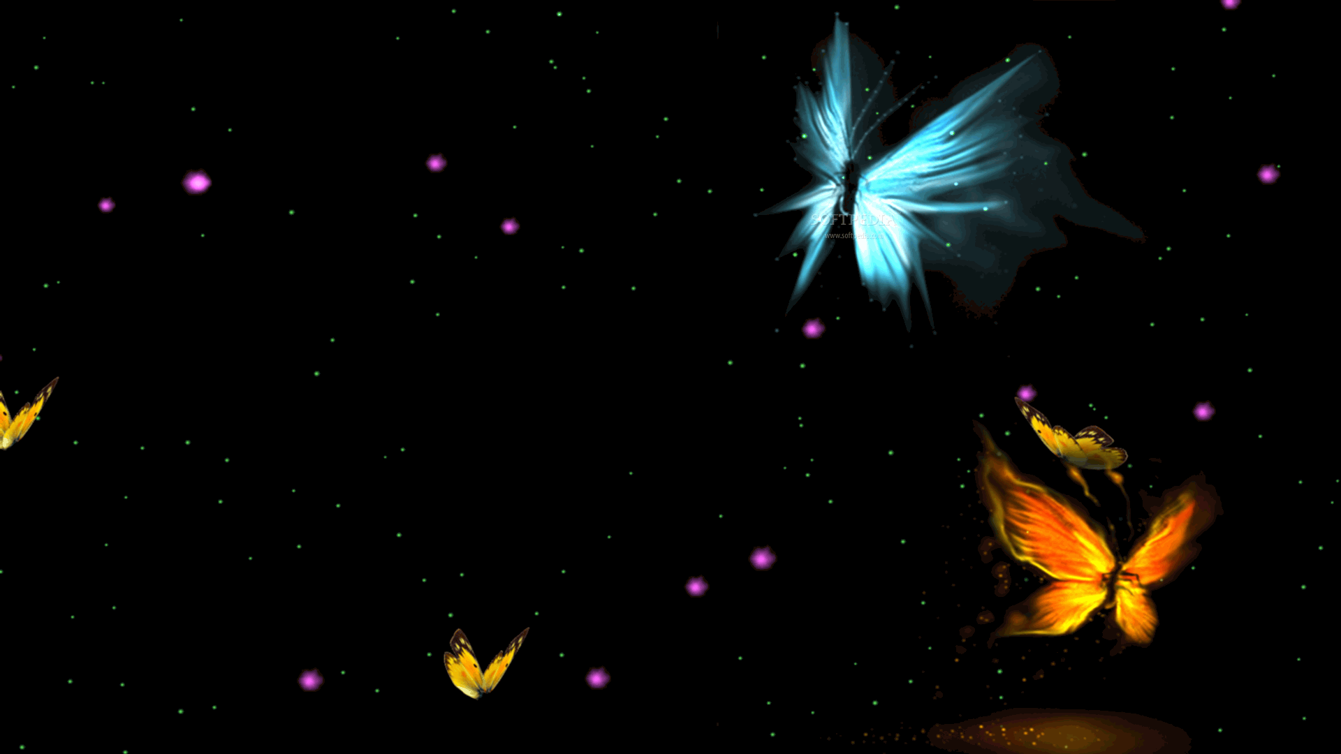 Fantastic Butterfly Screensaver