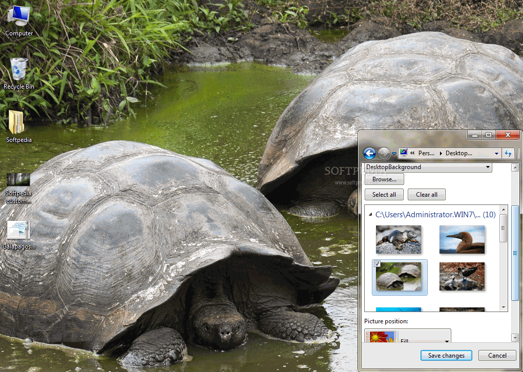 Galapagos Windows 7 Theme