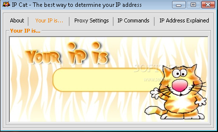 IP Cat