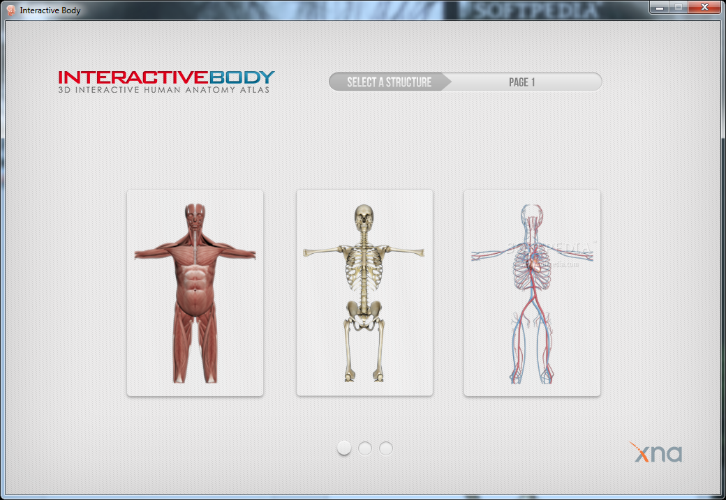 Interactive Body