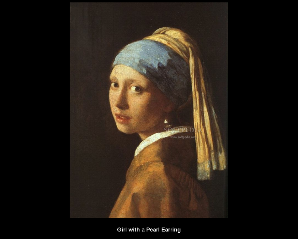 Jan Vermeer Screensaver