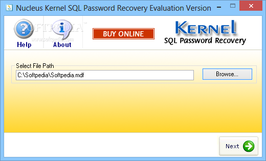 Kernel SQL Password Recovery