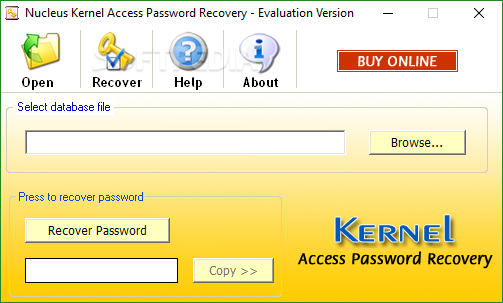 Nucleus Kernel Access Password Recovery