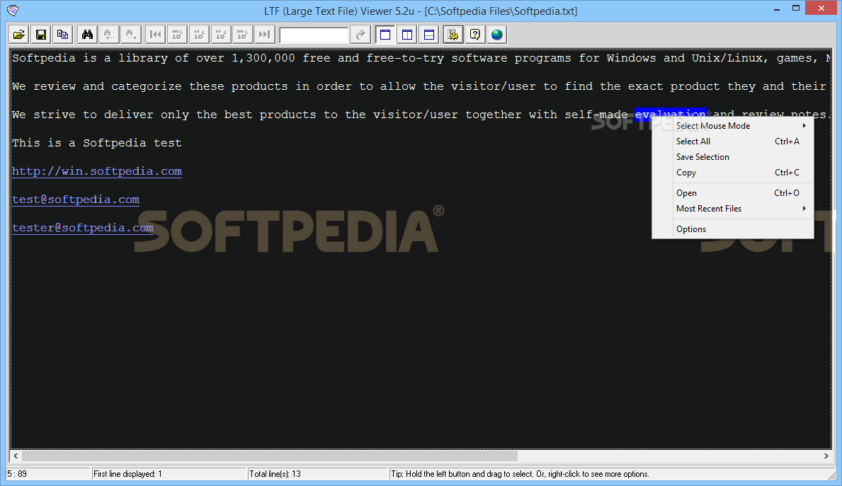 Large Text File Viewer