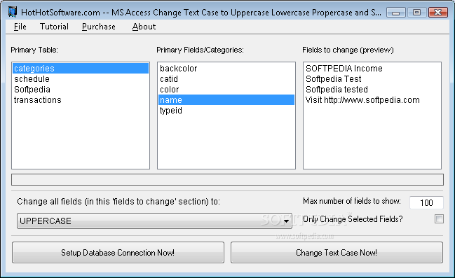 MS Access Change Text Case to Uppercase Lowercase Propercase and Sentence Case