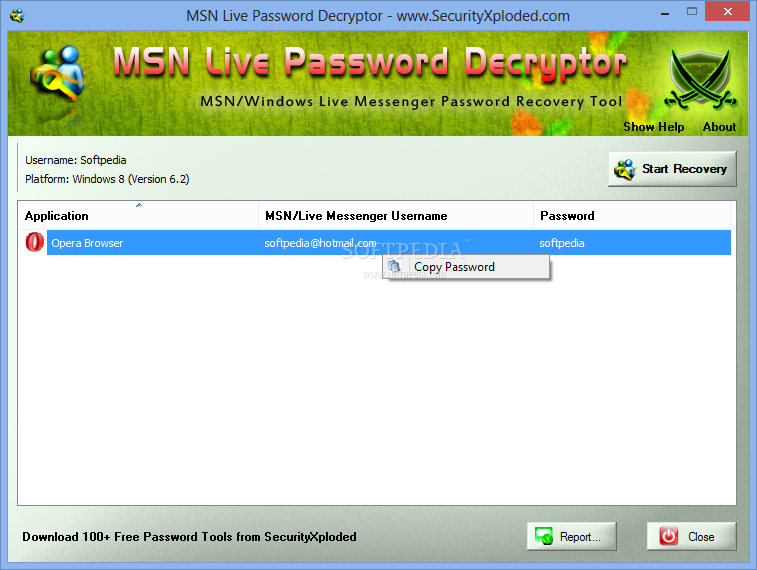 MSN Live Password Decryptor Portable