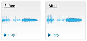 NewBlue Audio Essentials (formerly NewBlue Essentials)