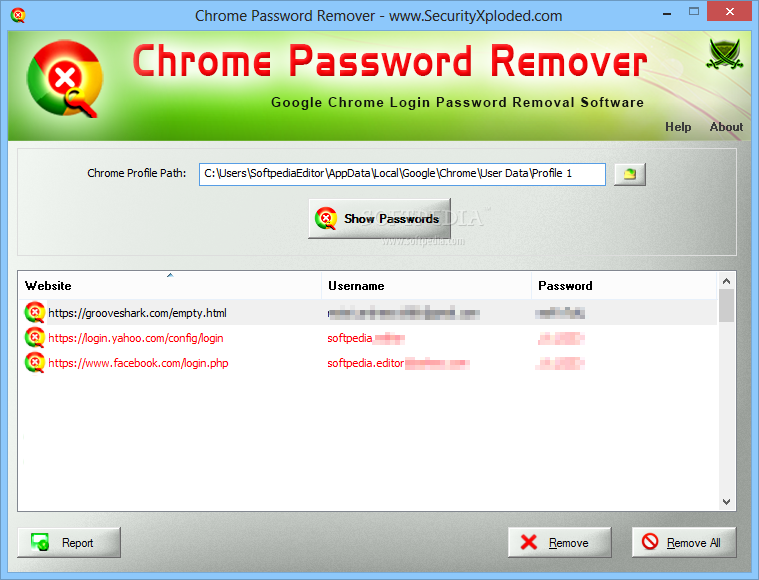 Portable Chrome Password Remover