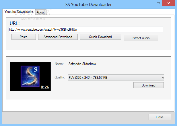 Portable SS Youtube Downloader