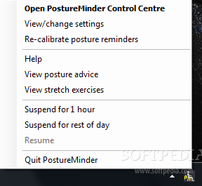 PostureMinder Pro