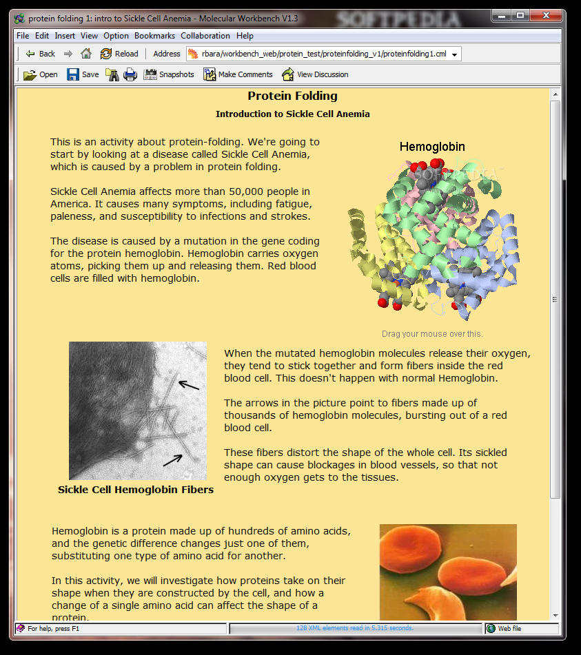 Protein Folding