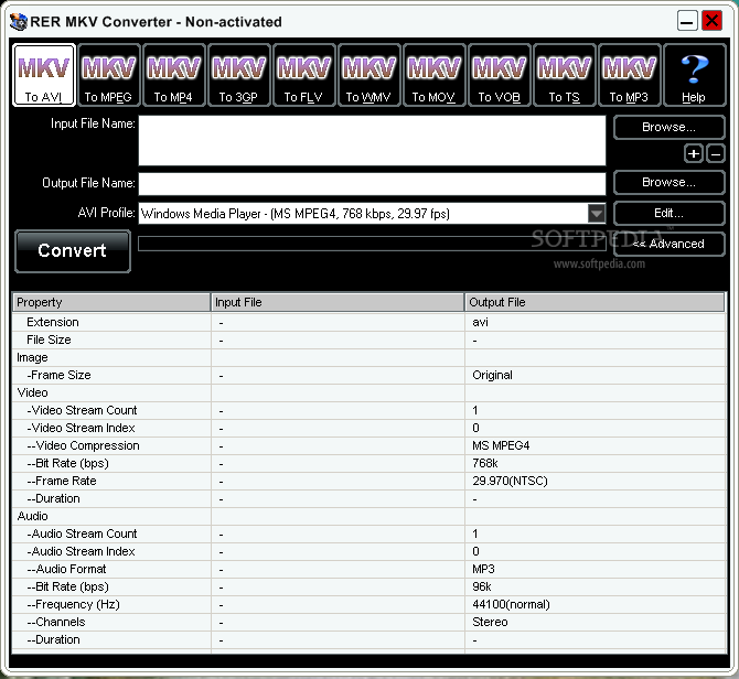 RER MKV Converter