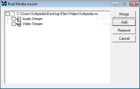 RealMedia Muxer