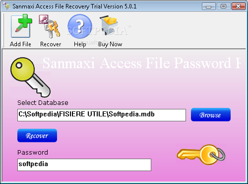Sanmaxi Access File Recovery