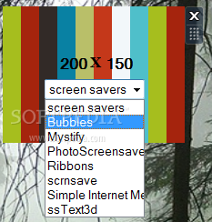 Screen Saver Sticker