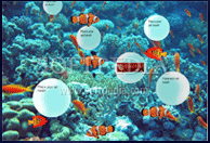 SeeBubbles Virtual Aquarium