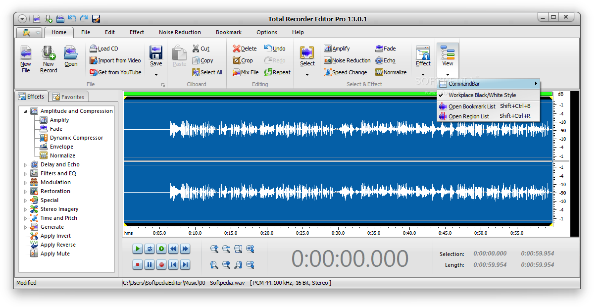 Total Recorder Editor Pro