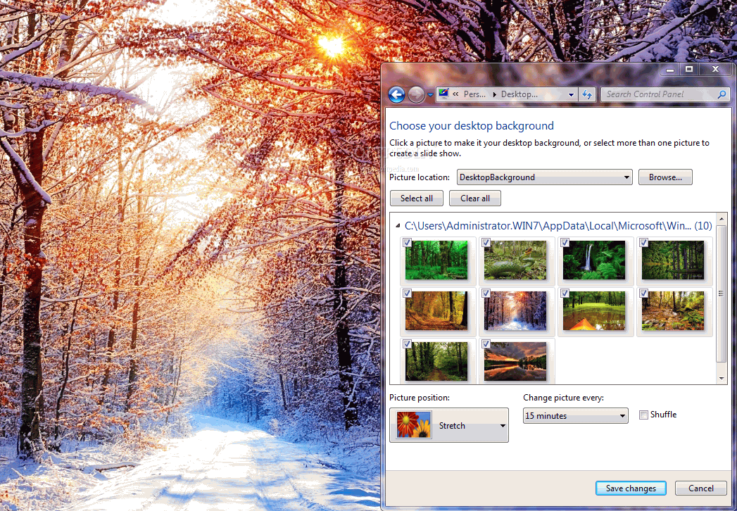 Tranquil Forest Windows 7 Theme