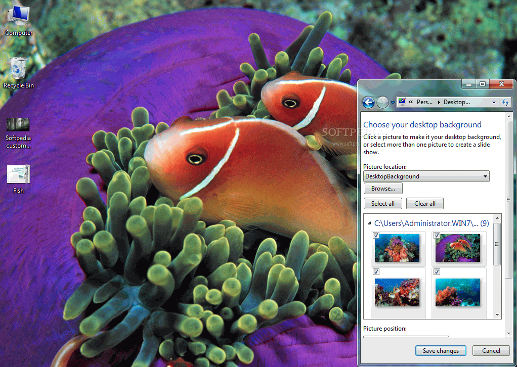 Tropical Fish Windows 7 Theme