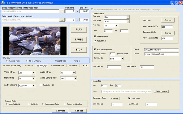Video Edit Pro ActiveX Control