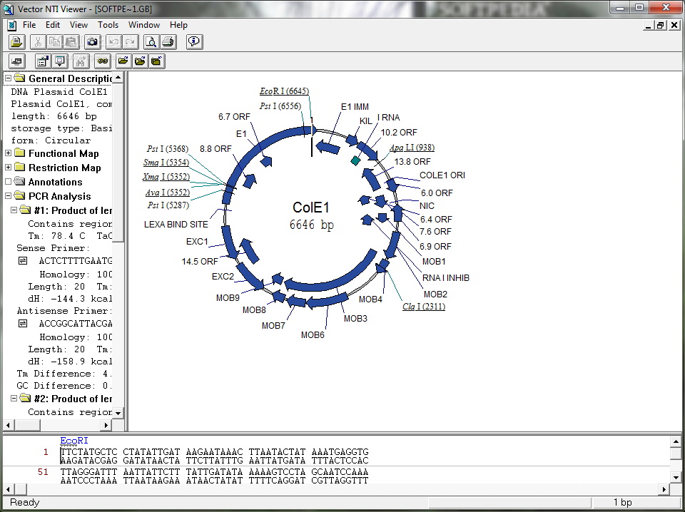 Vector NTI Viewer